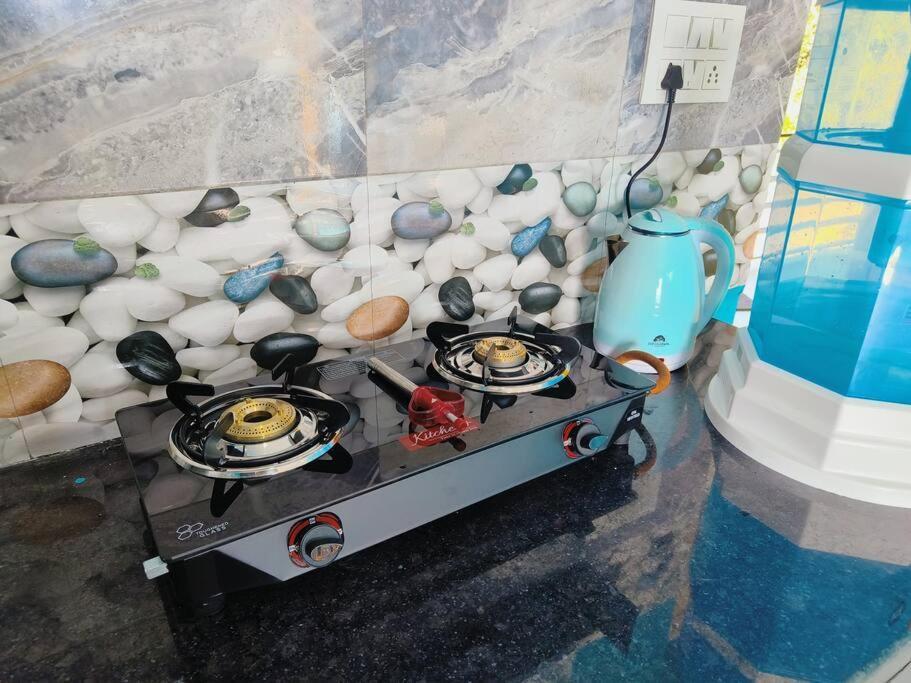 Apartment Blue Hills Loft #2- Mcleod Ganj *